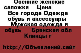 Осенние женские сапожки. › Цена ­ 2000.. - Все города Одежда, обувь и аксессуары » Мужская одежда и обувь   . Брянская обл.,Клинцы г.